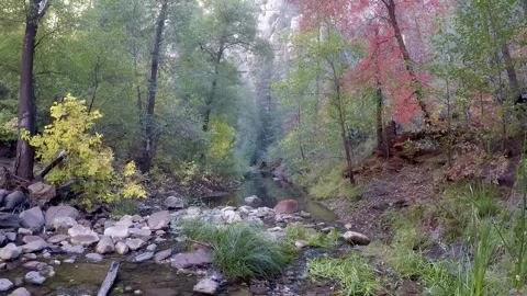 West Fork Creek Tilt To Fall Colors &amp; Rocky Mountain- Sedona AZ Stockbeeldmateriaal 312369927