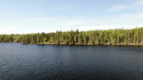 West Hawk Lake Shore, Forest, and Wilderness Stock Footage 140262668
