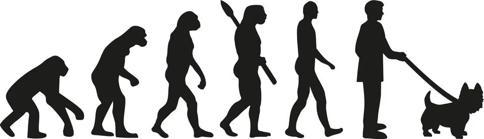West Highland Terrier evolution Stock Illustration
