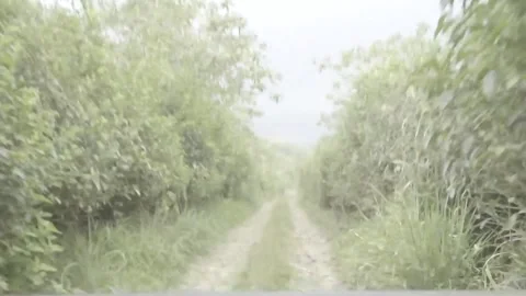 West Java, Indonesia 2022/11/12 Stock Footage 283626803