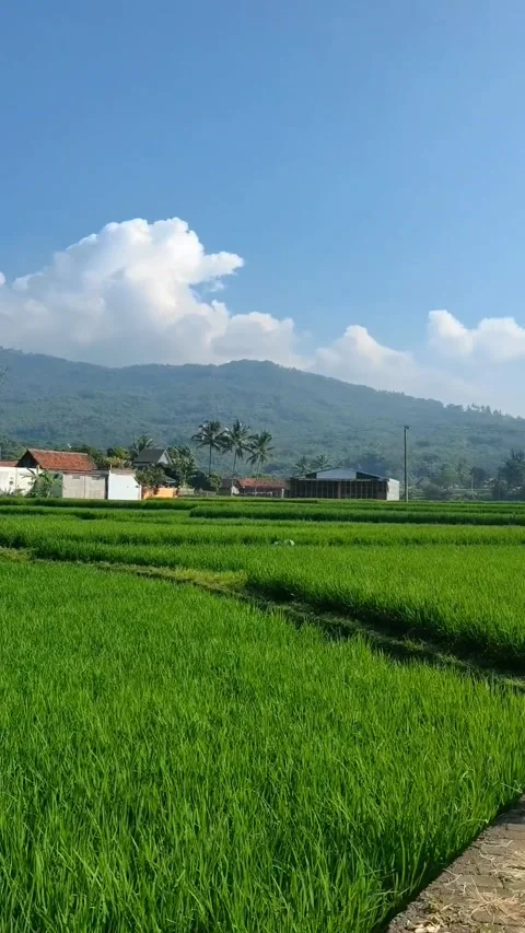 West Java in indonesia 動画素材 194897081