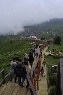 West Java, Indonesia - November 6, 2022: Wooden bridge in tea garden Fotos de archivo