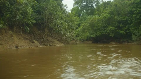 West Kailmantan River Stock Footage 216992043