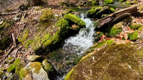 West Kill Creek Stream: Rushing Water Over Green Mossy Rocks 4K Nature Stock Footage 333475976