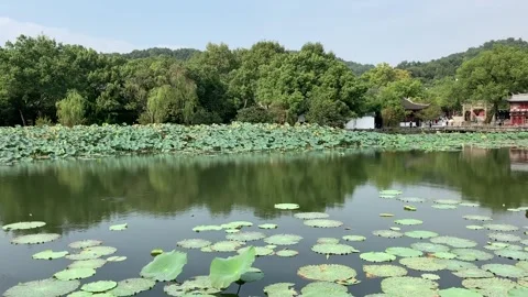 West lake in Hangzhou Stock-Footage 341362099
