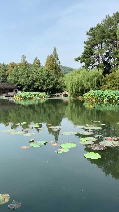 West lake in Hangzhou Video stock 341362102