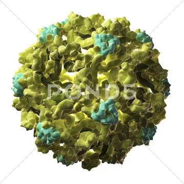 West nile virus particle Stock Illustration