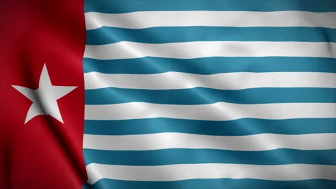 West Papua flag background realistic waving in the wind, 4K video (Loop) Stock Footage 246954740