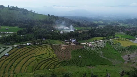 West Sumatra's rice fields Stock-Footage 258330541