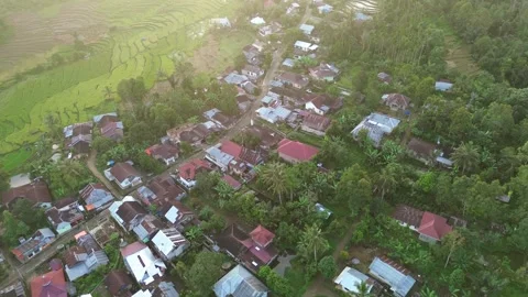 West Sumatra's rice fields 動画素材 258334966