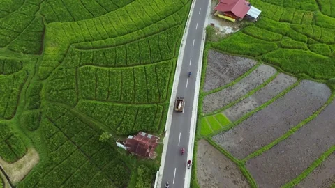 West Sumatra's rice fields 動画素材 258337752