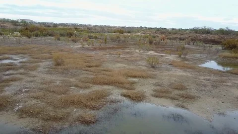 West Texas Brush Stock Footage 81184592