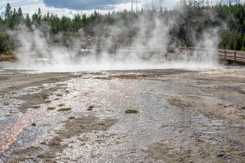 West Thumb Stock Photos