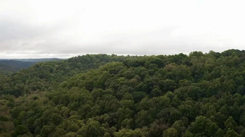 West Virgina Trees Stock Footage 99796189