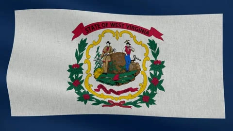 West Virginia State Flag, Cotton Fabric Stock Footage 299082144