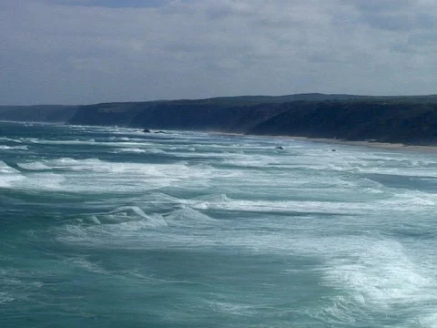 West Wave Video stock 490436