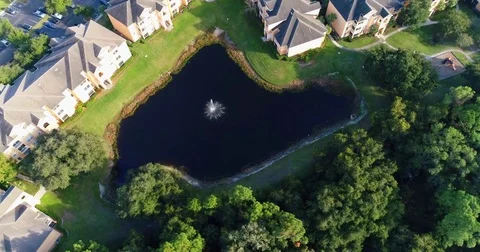 Westchase florida Stock Footage 77025473