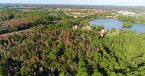 Westchase florida Stock Footage 77025805