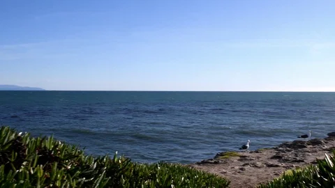 Westcliff walking down path toward ocean to seagulls Видео 104010447