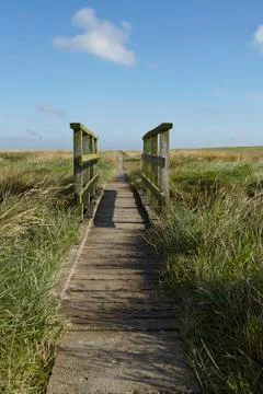 Westerhever (germany) - salt meadow with footbridge Stock Photos