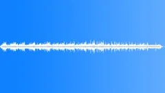 Western Capercaillie MD CallsSound Effect