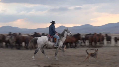 Western cowboys riding horses Stock Footage
