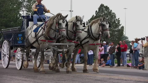 Western Days parade Stock Footage 29110495