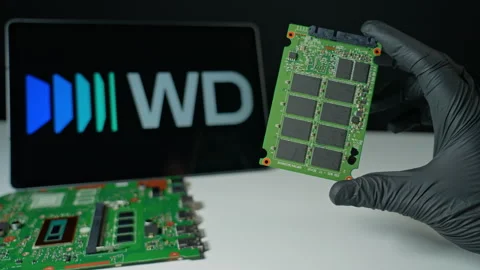 Western Digital background, display of the internal SSD Solid State Drive 스톡 동영상 335088287