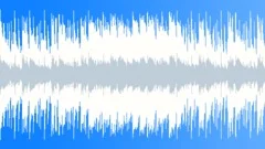 Western electric country rock'n'fusionStock Music