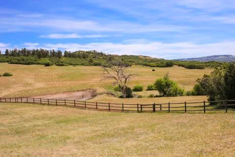 Western Field Foto stock