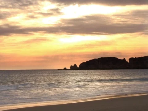 Western Video stock 490201