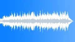 Western Genes Stock Music