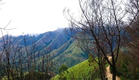 Western Ghats Stock Photos
