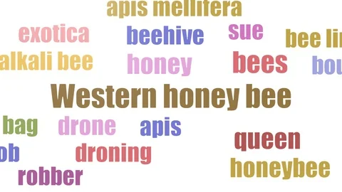 Western Honey Bee Tag Cloud Animated Isolated Video stock 103669575