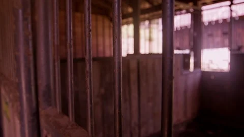 Western Jail Cell Video stock 245240631