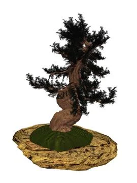 Western juniper tree bonsai - 3D render Stock Illustration