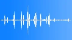 Western Meadow Lark NBSound Effect