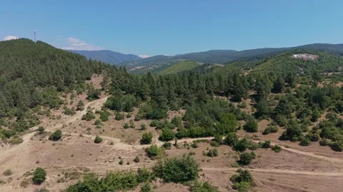 Western Rhodopes pine forests aerial view Bulgaria Stock Footage 343619178