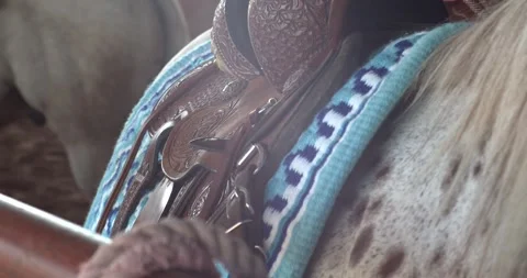 A western saddle and patterned blanket on a spotted horse at a Texas ranch Stock Footage 345804402
