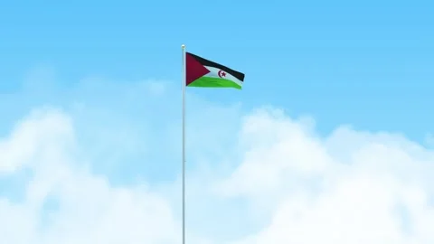 Western Sahara Flag 3D Render Animation Waving on Pole with Blue Sky Stock-Footage 333014516