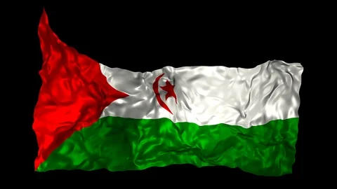 Western Sahara flag Stock Footage 110870324