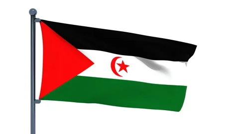 Western Sahara Flag Video stock 150196643