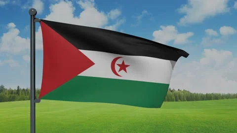 Western Sahara Flag Video stock 151862344