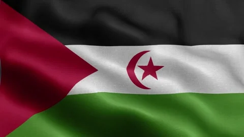 Western Sahara flag Front Stock-Footage 318670758