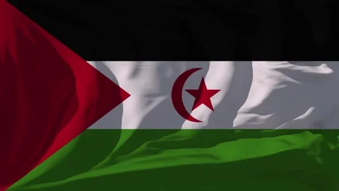 Western Sahara Flag Loop Stock Footage 295751669