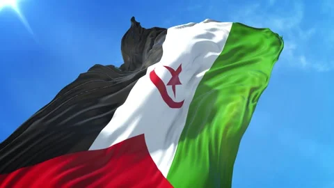 Western Sahara Flag Low Angle View Stock Footage 295701580
