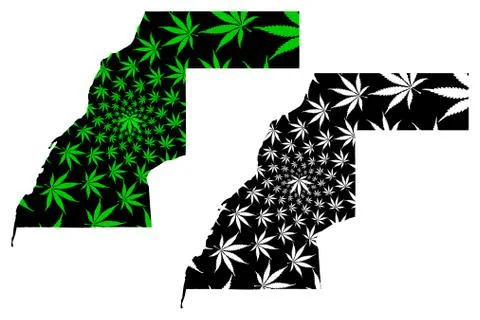 Western Sahara - map is designed cannabis leaf Stock Illustration