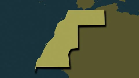 Western Sahara map - extract. Shadow. Pattern. Labels Stock Footage 323094283