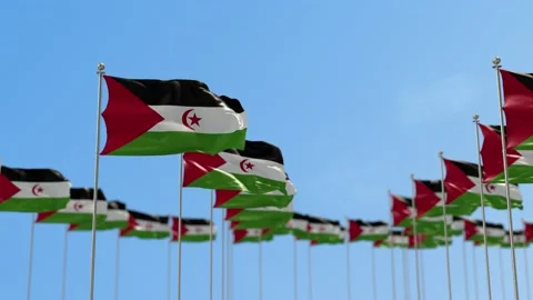 Western Sahara Row Of Flags Animation Vídeo Stock 148806903
