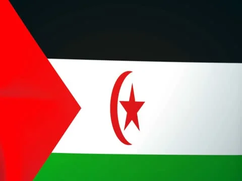 Western Sahara Waving Flag Stock Footage 10762846